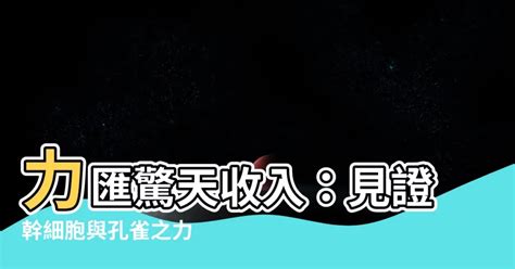 力匯孔雀收入|力匯孔雀收入2024必看介紹!專家建議咁做…